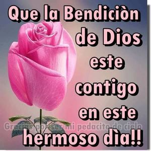 Meet your Posher, Bertha